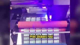 UV Printer