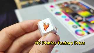 UV Printer